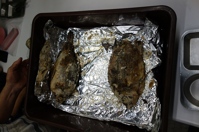 डीएससी07382-1