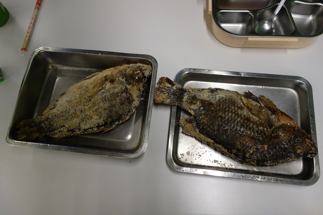 डीएससी07383-1