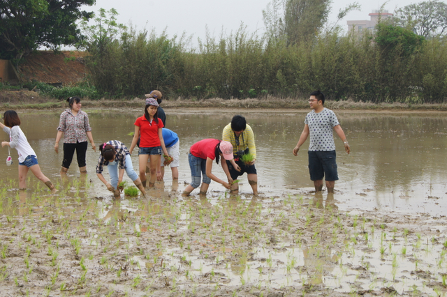 डीएससी09194