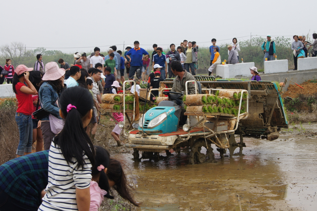 डीएससी09184