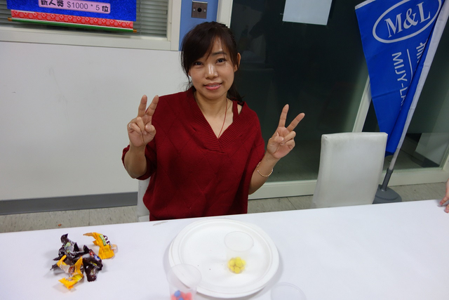 डीएससी04155-1